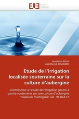 Etude de l'irrigation localisée souterraine sur la culture d'aubergine