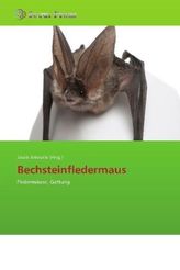 Das Ahrtal in frühen Fotografien