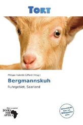 Lükko Leuchtturm und das Museumsorakel