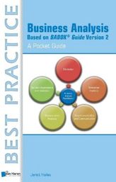 Business Analysis Based on BABOK® Guide Version 2