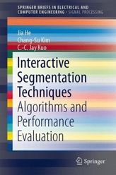 Interactive Segmentation Techniques