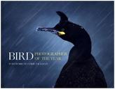 Bird Photographer Of The Year