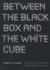 Between the Black Box and the White Cube
