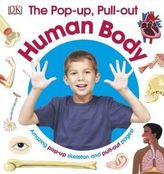 The Pop-Up, Pull Out Human Body