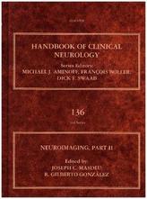 Neuroimaging. Vol.2