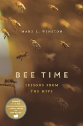 Bee Time