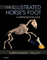 The Illustrated Horse's Foot