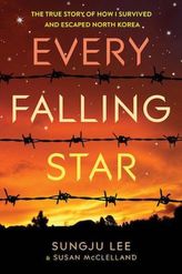 Every Falling Star