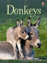 Donkeys