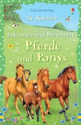 Erkennen und Benennen: Pferde und Ponys