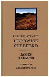 The Illustrated Herdwick Shepherd