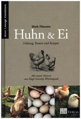 Huhn & Ei