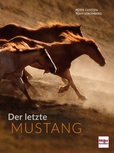 Der letzte Mustang
