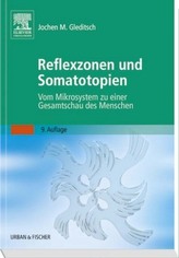 Reflexzonen und Somatotopien