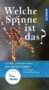 Welche Spinne ist das?