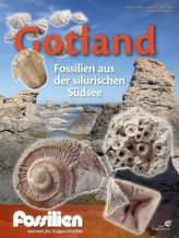 Gotland - Fossilien aus der silurischen Südsee