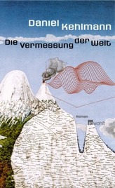 Taschenbuch der Physik, m. CD-ROM