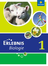 5./6. Schuljahr