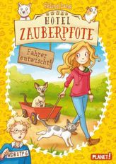 Hotel Zauberpfote - Fahrer entwischt!