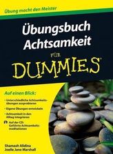 Übungsbuch Achtsamkeit für Dummies, m. Audio-CD