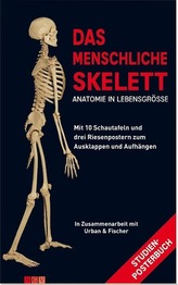 Das menschliche Skelett, Studien-Posterbuch