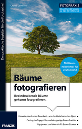 Bäume fotografieren