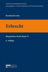 Bürgerliches Recht VI. Erbrecht