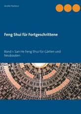 Feng Shui für Fortgeschrittene. Bd.1