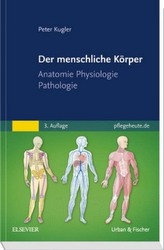 Der menschliche Körper