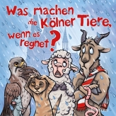 Was machen die Kölner Tiere, wenn es regnet?