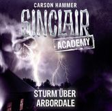 Sinclair Academy - Sturm über Arbordale, 2 Audio-CDs