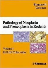 Pathology of Neoplasia and Preneoplasia in Rodents. Vol.1