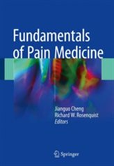  Fundamentals of Pain Medicine
