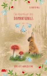 Die Abenteuer des Diamantkönigs - Verflixte Wunschsteine