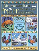 Die wunderbare Reise des Nils Holgersson