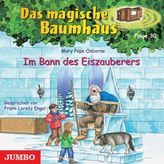 Im Bann des Eiszauberers, Audio-CD