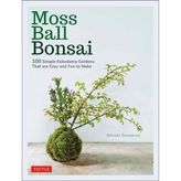  Moss Ball Bonsai
