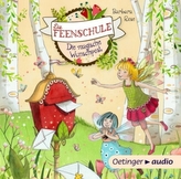 Die Feenschule - Die magische Wunschpost, 1 Audio-CD