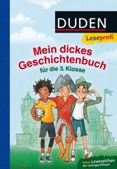 Mein dickes Geschichtenbuch für die 3. Klasse