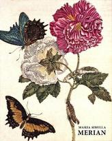 Maria Sibylla Merian