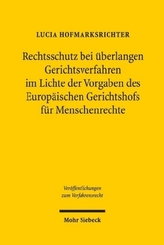 Rechtsschutz bei überlangen Gerichtsverfahren im Lichte der Vorgaben des EGMR