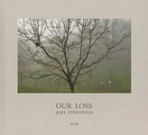  Joel Sternfeld: Our Loss