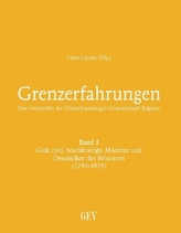 Code civil, beschleunigte Moderne und Dynamiken des Beharrens (1794-1919)