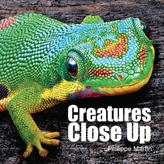  Creatures Close Up