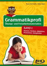 Grammatikprofi: Übungs- und Freiarbeitsmaterialien. Bd.1