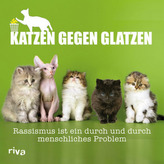 Katzen gegen Glatzen