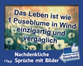 Das Leben ist wie 1 Puseblume in Wind einzigartig und vergäglich, Postkartenaufsteller