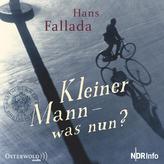 Kleiner Mann - was nun?, 1 Audio-CD