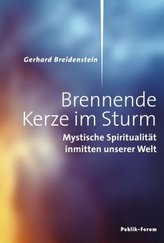 Internationales Steuerrecht
