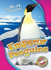  Emperor Penguins